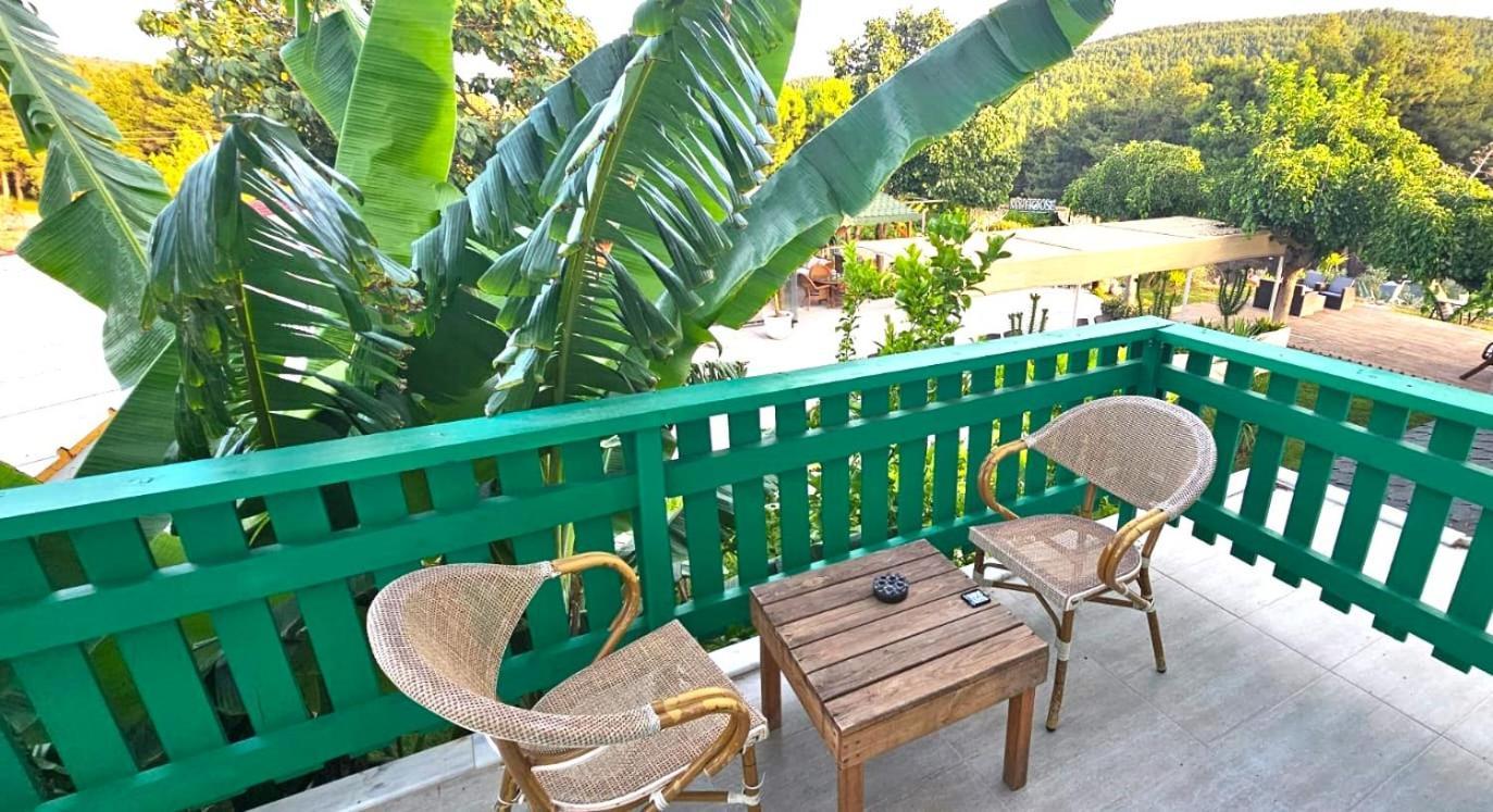 ホテル My House Urla イズミル エクステリア 写真